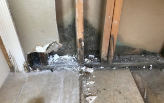 Rubber liner leaked causing mold inside the wall