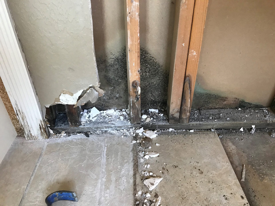 Rubber liner leaked causing mold inside the wall