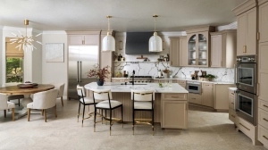 Shadow Ridge Kitchen Remodel