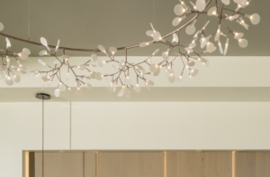 Moooi light fixture